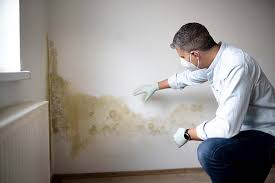 Best Commercial Mold Inspection  in Spanish Fork, UT